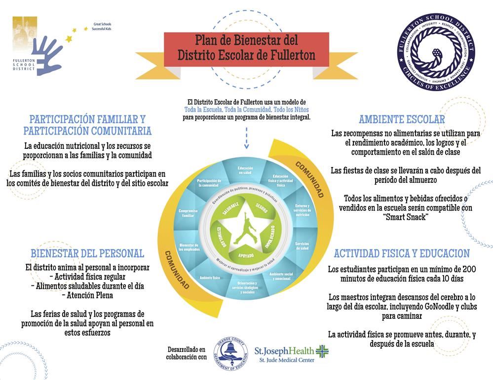 FSD Wellness Infographic - Spanish