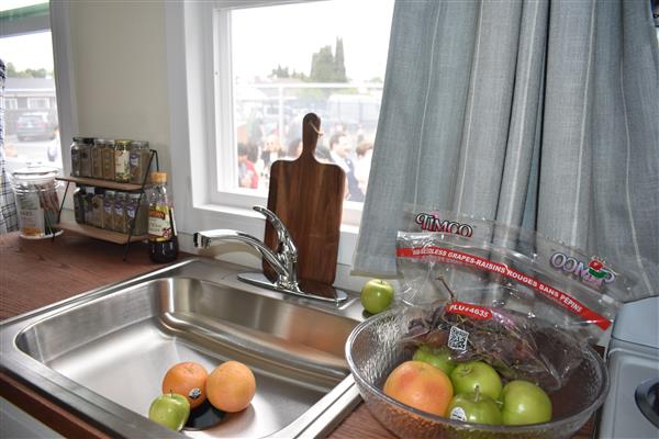 The kitchen sink and counter.